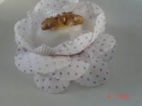 Camafeu tradicional ou chocolate (100 unidades)